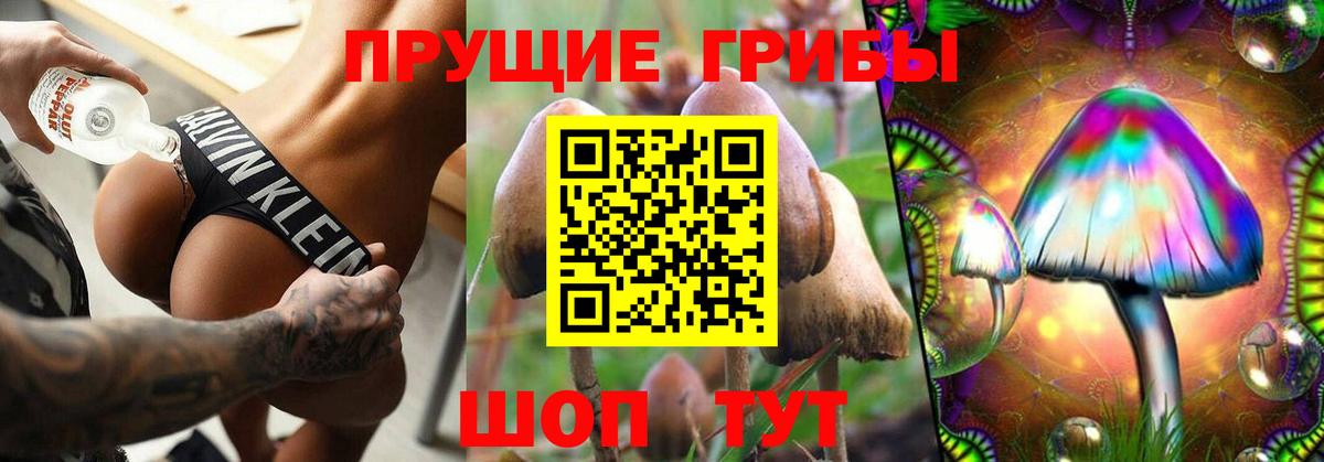 Галлюциногенные грибы Magic Shrooms  Вход с VPN  Аксай  Псилоцибиновые грибы MAGIC MUSHROOMS 